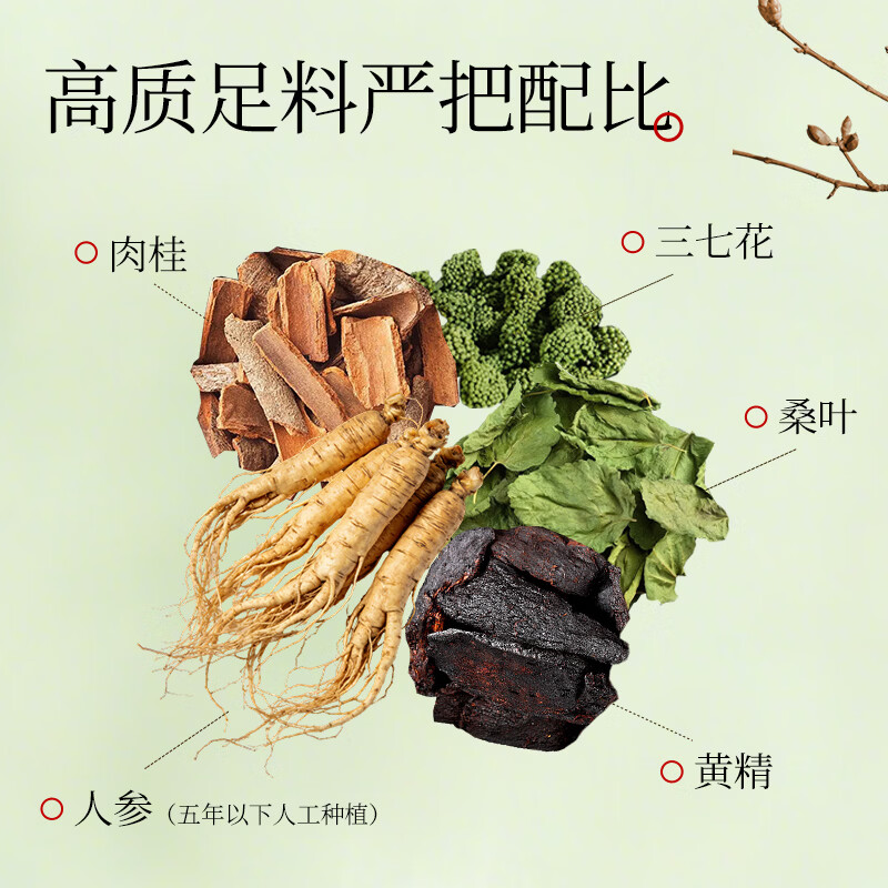 溪瀛堂桑叶24袋复合颗粒固体饮料草本凝为精华袋装中式中老年养生速冲饮 桑叶颗粒固体饮料 5g*5袋