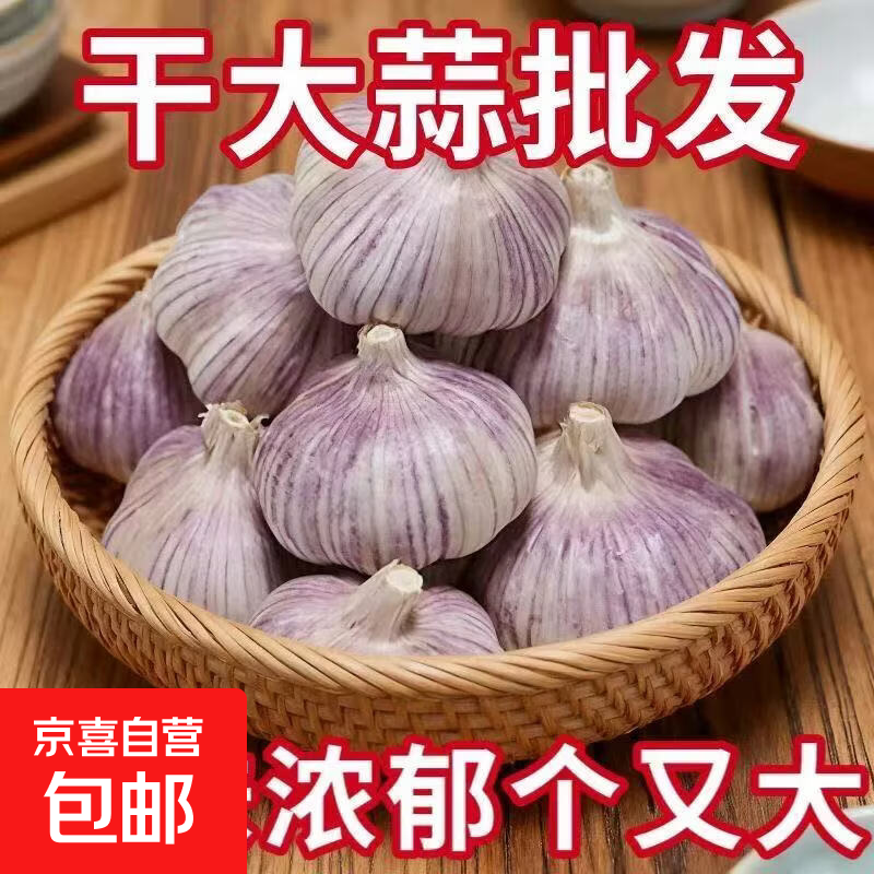 2026优质出口金乡干大蒜精品大蒜产地调味料蒜瓣单果4.0-4.5cm 【优选】1斤 4.0-4.5公分500g