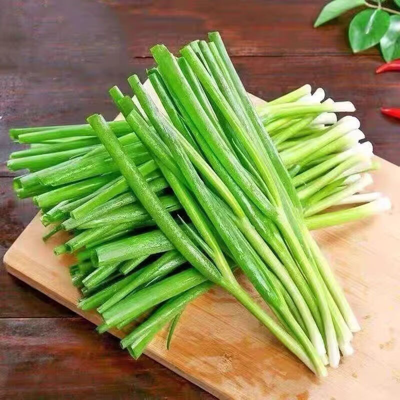 香葱蘸酱菜新鲜细四季小香葱根苗葱现挖现发农家自种 新鲜小葱 3斤