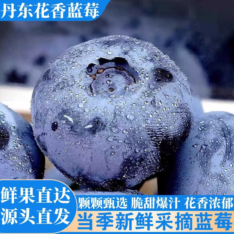 正宗云南高原新鲜采摘蓝莓新鲜水果孕妇宝宝辅食花香蓝莓 蓝莓小果单果18mm+ 高原蓝莓热卖90-115g*8盒装