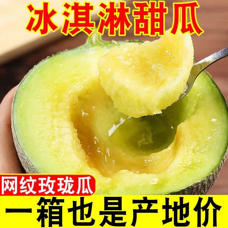 海南网纹瓜网纹蜜瓜瓜冰淇淋哈密瓜当季新鲜水果玫珑蜜瓜静冈蜜瓜 1g 甄选45斤中小果（2-3个）