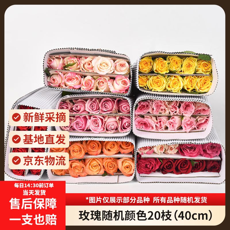 京东鲜花玫瑰花随机颜色20枝(1-2种颜色)40cm基地鲜切花生活花束源头直发