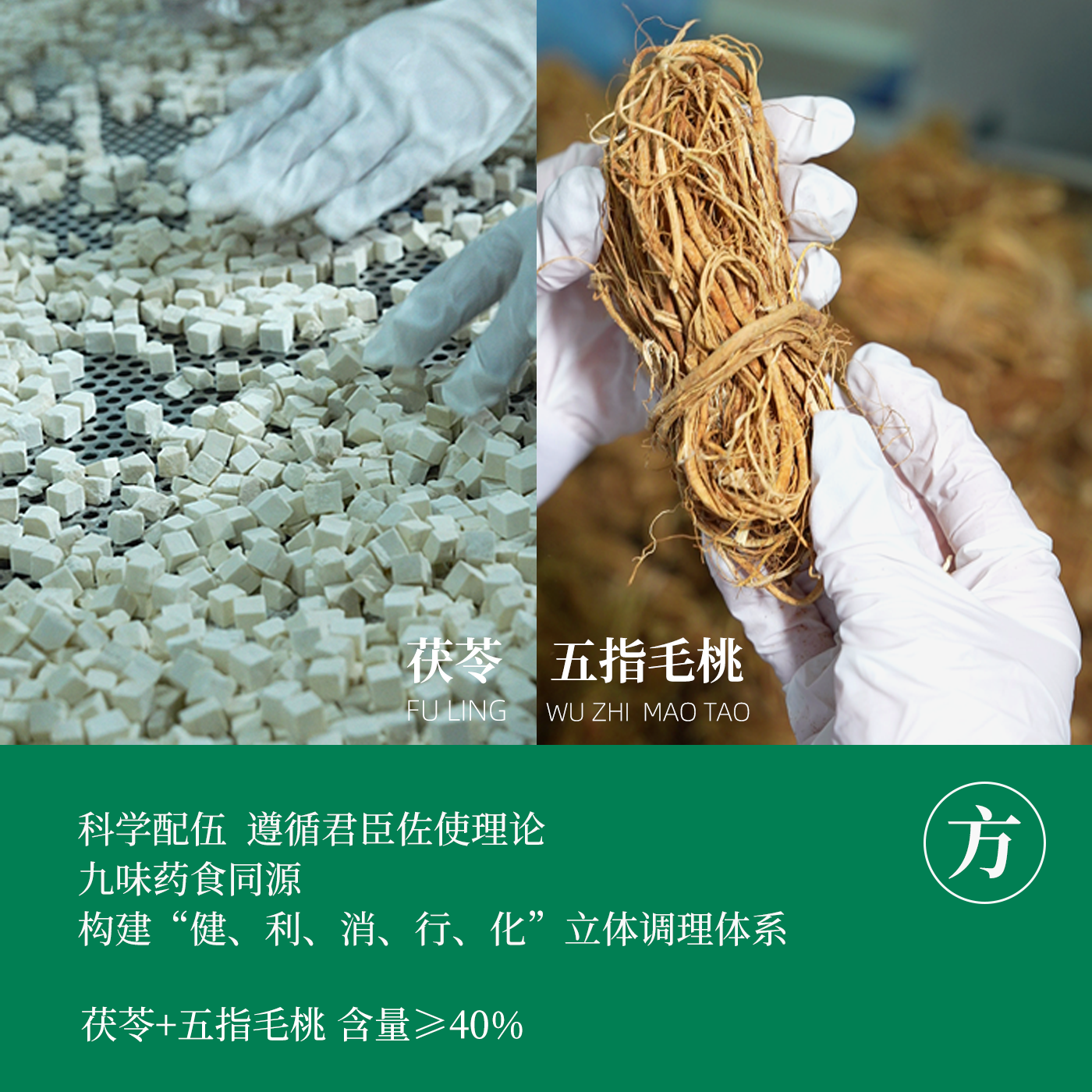 知元舒五指毛桃茯苓膏草本膏方滋补清养轻盈轻快即食冲饮温和清润茯湿 220g*1瓶