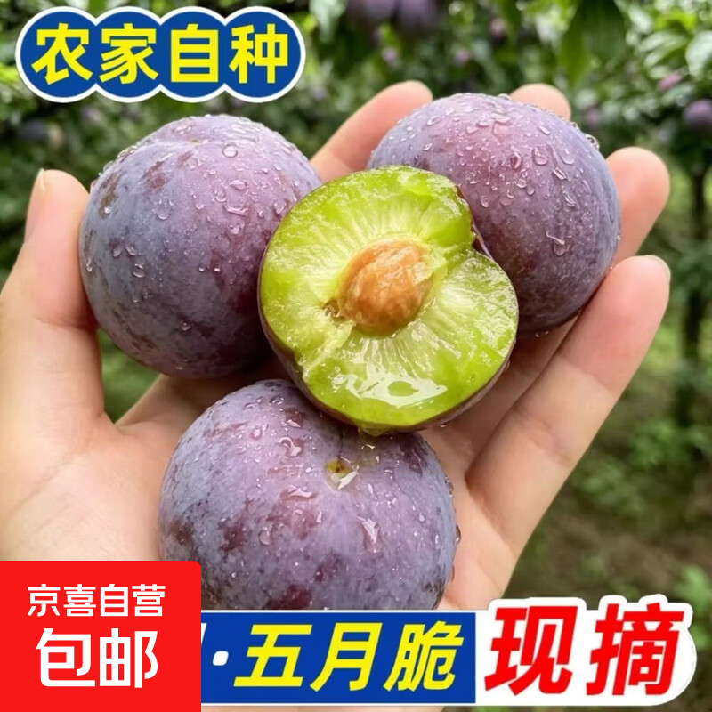 四川五月脆李2斤 3.9元 - 86线报