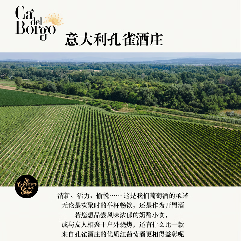 LEERER夏日冰镇红酒意大利进口赤霞珠美乐混酿红葡萄酒口粮酒聚餐果香型 【整箱六支】750ml*6