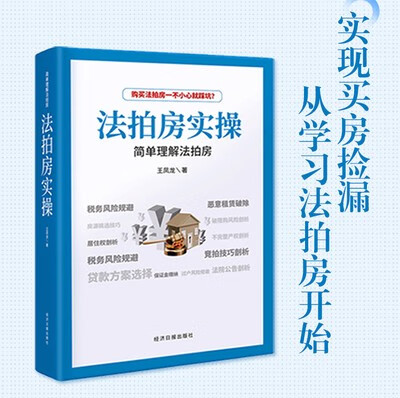 法拍房实操 简单理解法拍房 王风龙著 适