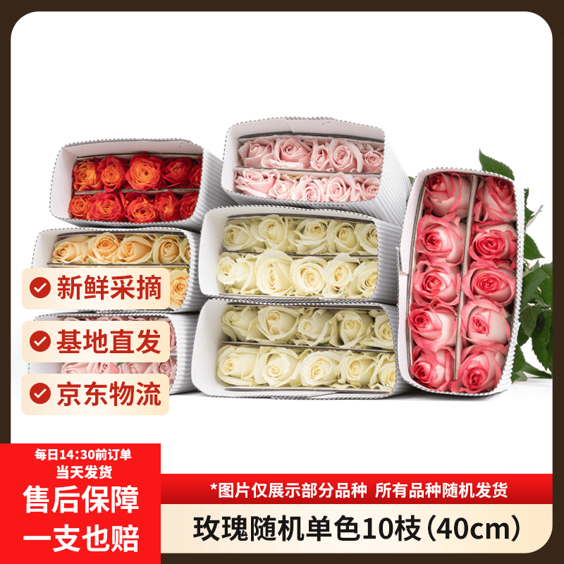 京东鲜花随机玫瑰10枝鲜切花（40cm起发）礼品节日基地现采现发源头直发