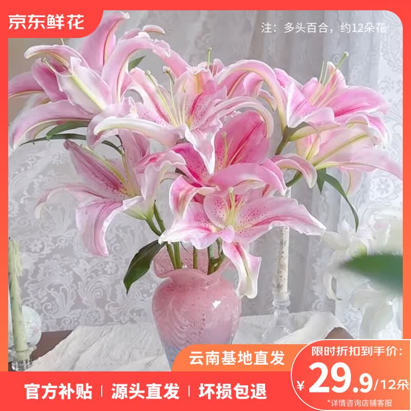 百合随机色12朵 29.9元 - 86线报