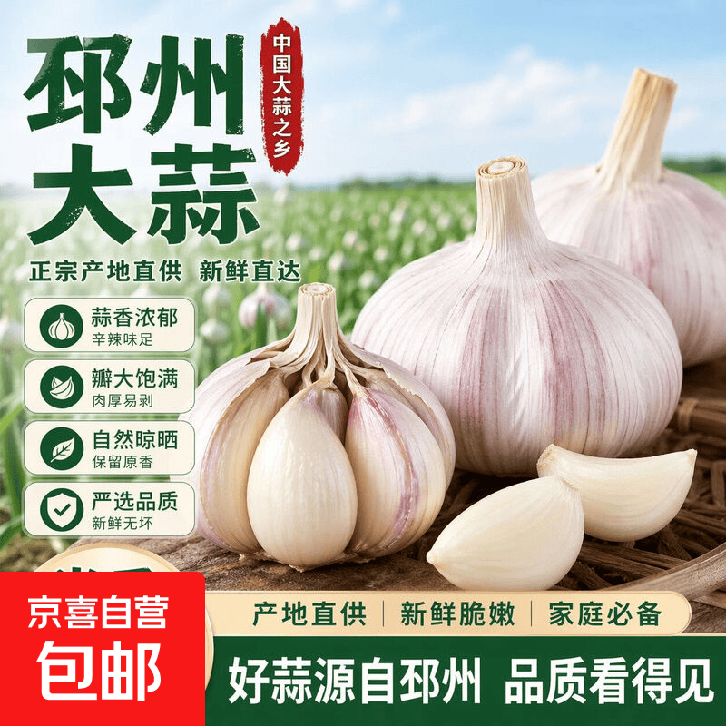 大蒜特大果网兜条装大蒜批发新鲜红皮大蒜头产地直发新干蒜 180g【5头蒜】