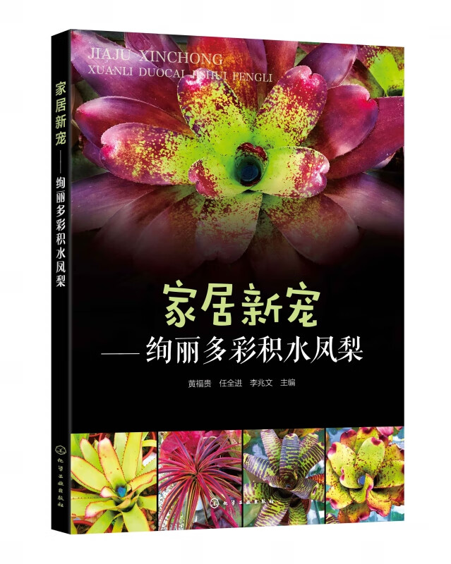 家居新宠--绚丽多彩积水凤梨