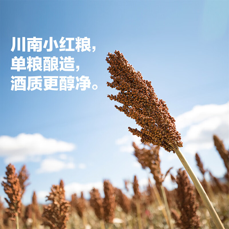 国之(GUOZHI)国之小酒 小壶酒 浓香型文创白酒 纯粮酒 国标优级 宴请送礼 52%vol 125mL 2瓶