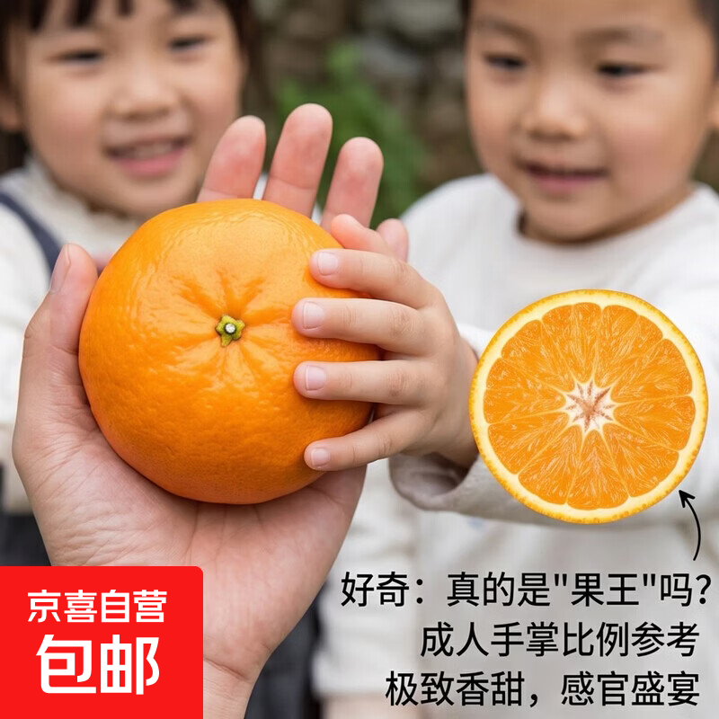 正宗四川高山沃柑新鲜当季水果大果桔子蜜橘砂糖柑橘整箱京东物流 【超值】带箱9斤果王（约净重8.6斤）