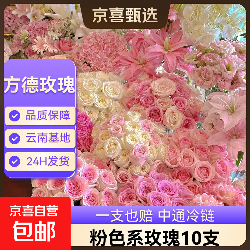 【方德玫瑰】云南鲜花基地直发玫瑰花鲜切38妇女节女神节生日礼物 方德35-40cm粉色系10支