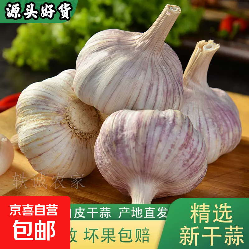 2026年新干蒜邳州紫皮大蒜头农家当新鲜季蔬菜农家自种3斤/5斤 【精品大蒜4.5公分】5头