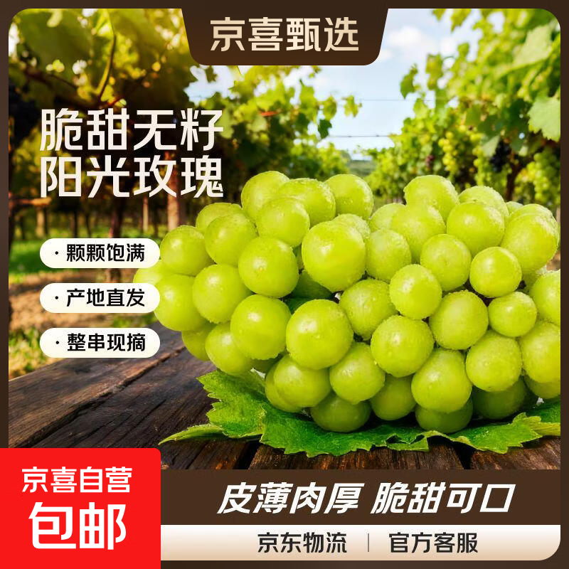 云南阳光玫瑰葡萄当季脆甜无籽香印提子青提晴王葡萄新鲜水果京东 一级果净重3斤(单果6g)
