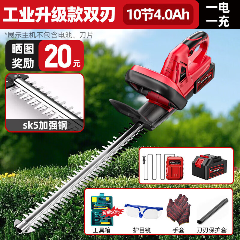 德力西电气（DELIXI ELECTRIC）电动绿篱修剪机21v充电式绿篱剪双刃便携式绿化带小型修枝剪神器 工业升级款双刃【4.0Ah】1电1充