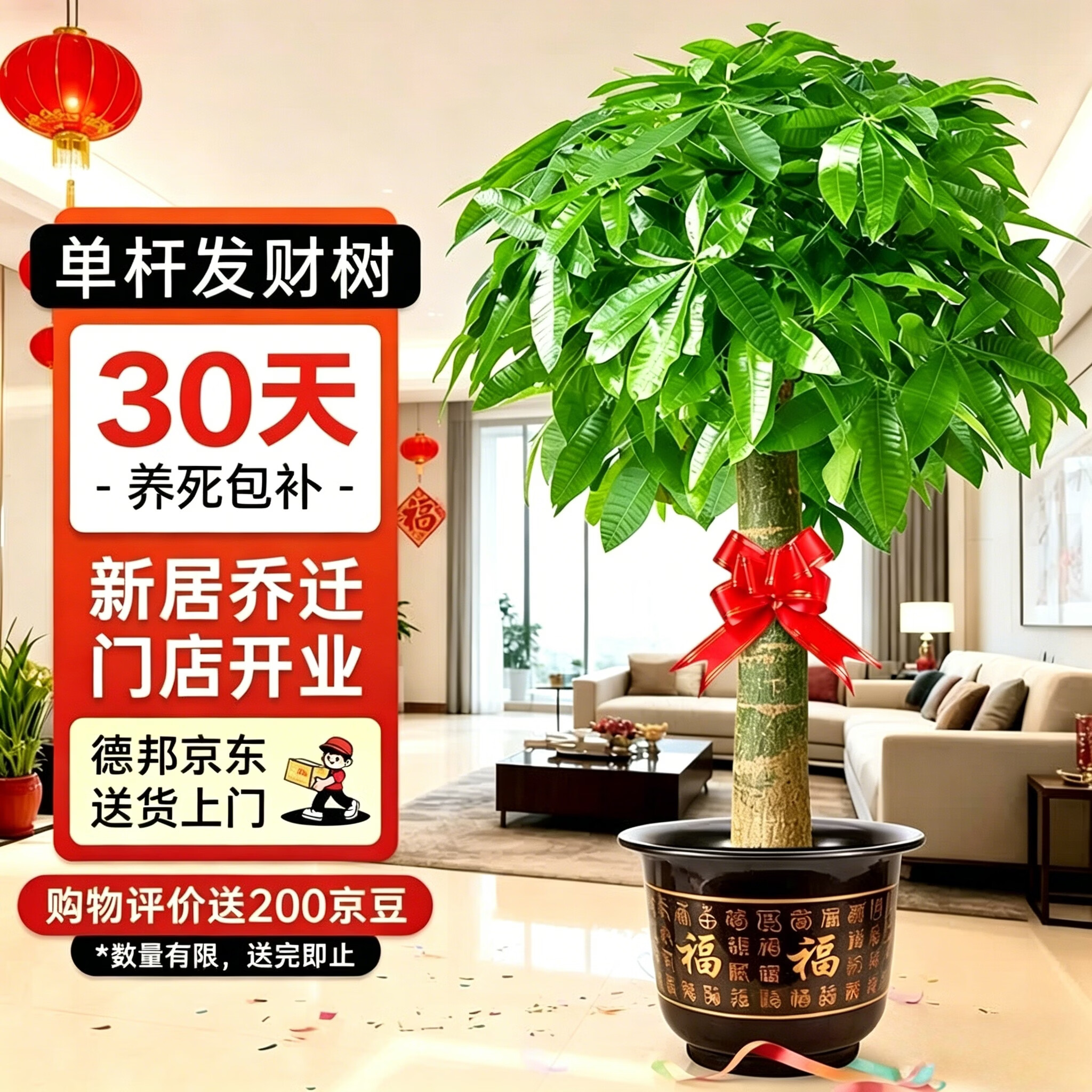 京东绿植发财树大型盆栽客厅室内真绿植办公室开业送礼独杆招财树源头直发