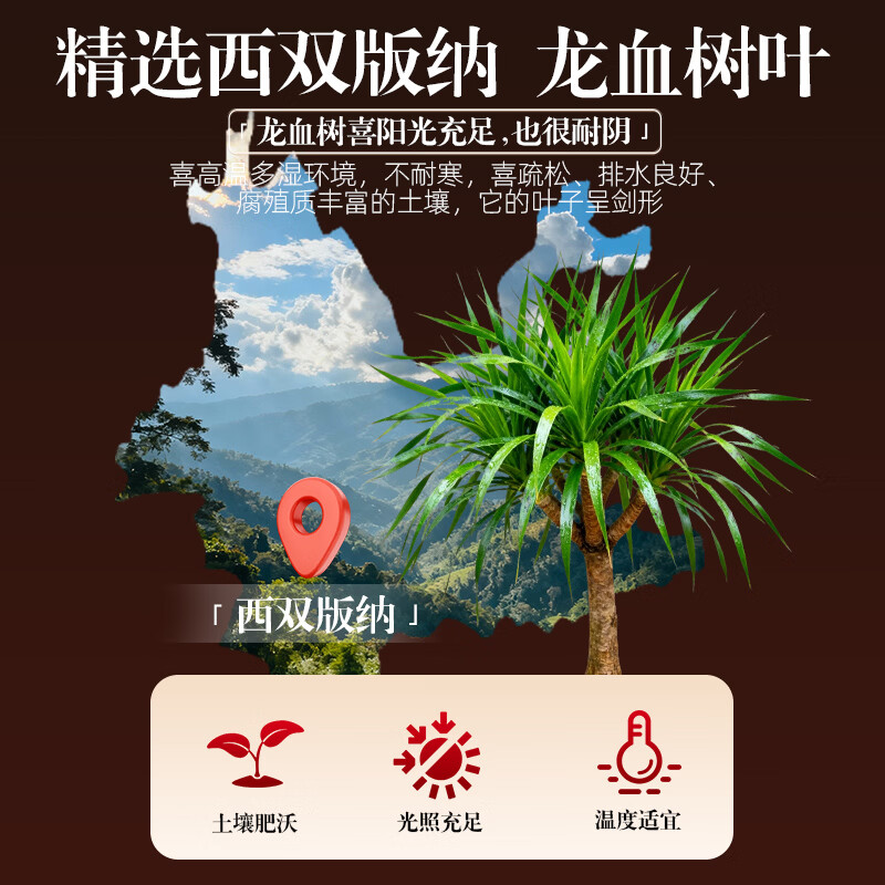 南同江汇云南龙血树叶粉90g西双版纳低温破壁研磨正品独立包装粉质细腻 实惠囤货装 90g*5盒 【买三送二】