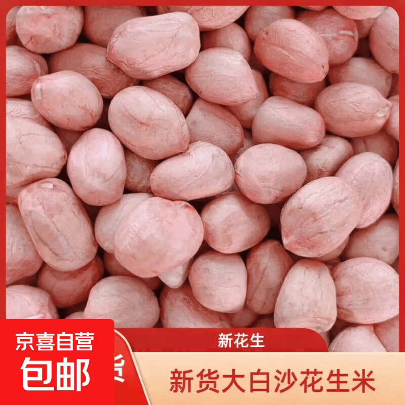 现剥新鲜花生米新货粉红皮花生粒散装花生仁榨油饱满大白沙清香 精选大粒-净重500g