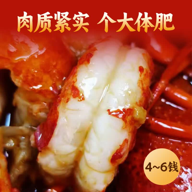 晓飞歌油焖麻辣小龙虾750g加热即食26年新虾4-6钱鲜活虾烧制液氮锁鲜 4-6钱 清水小龙虾750g(送调料加工食用) 3盒 共2.25kg