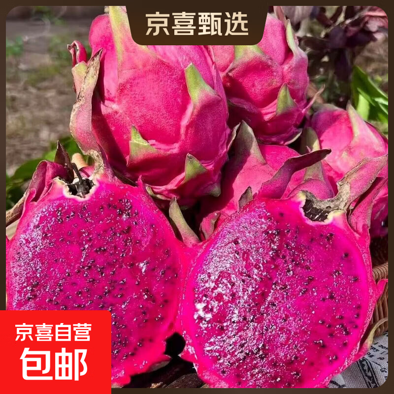 京喜加广西红心火龙果新鲜水果树上熟金都一号农家自种软糯香甜 单果200g+小果（带箱5斤-净重4.5斤）
