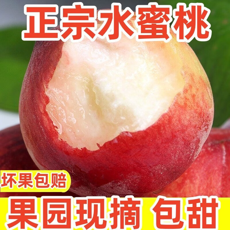 果原力正宗陕西水蜜桃新鲜水果脆甜 精选5斤(12个)