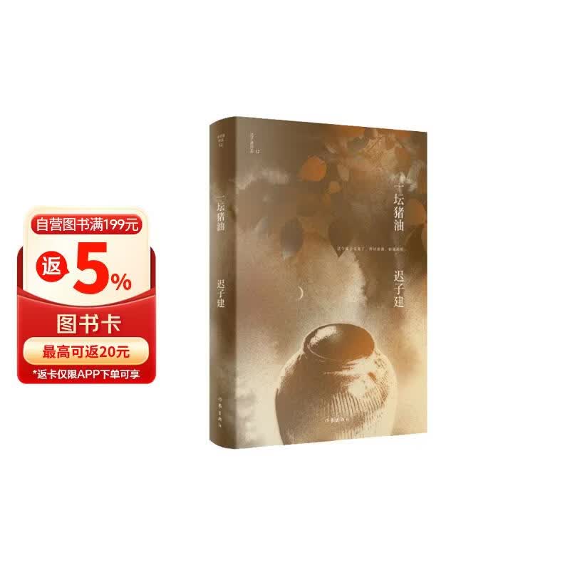 一坛猪油 茅盾文学奖 鲁迅文学奖得主 额尔古纳河右岸作者迟子建 短篇小说自选集