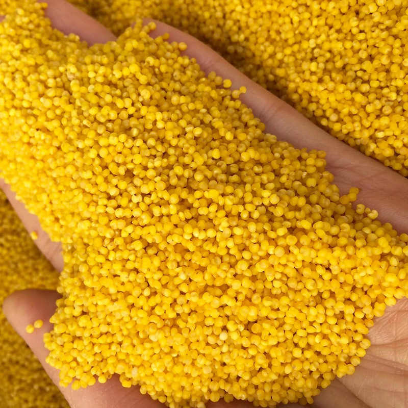 羽芝曼山西黄小米粥小黄米2021年新米5斤香糯粘稠杂粮食用吃的小米a