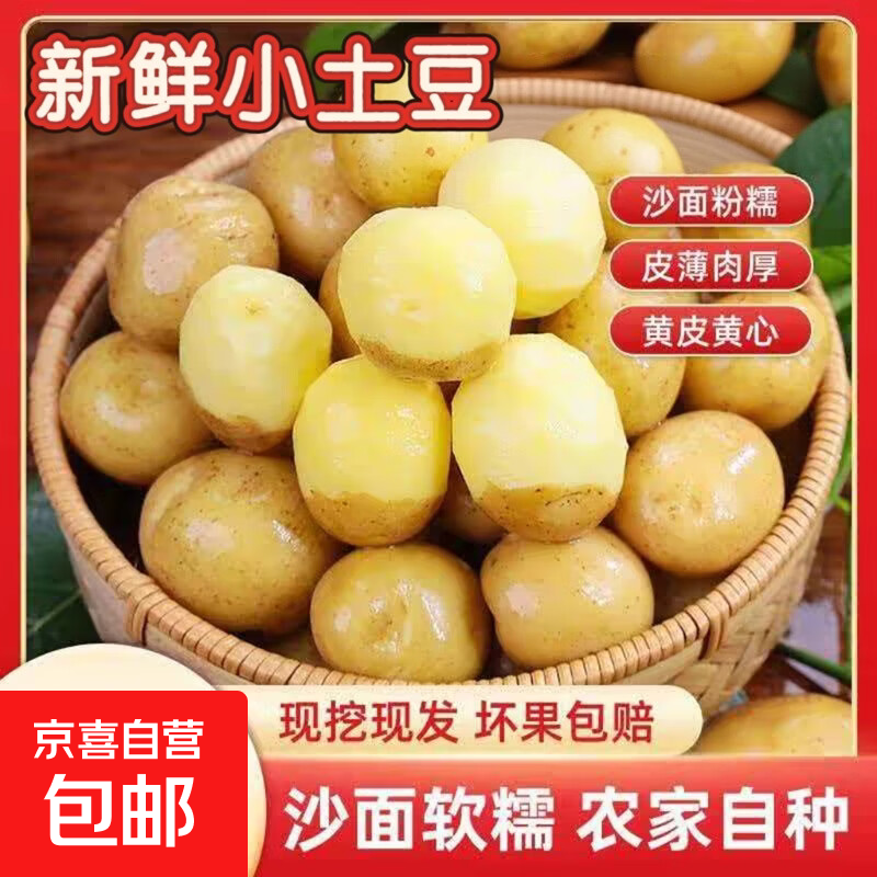 新鲜现挖黄心小土豆当季蔬菜洋芋马铃薯迷你烤土豆产地直发包邮 新鲜迷你小土豆2斤（烤土豆必备） 含箱