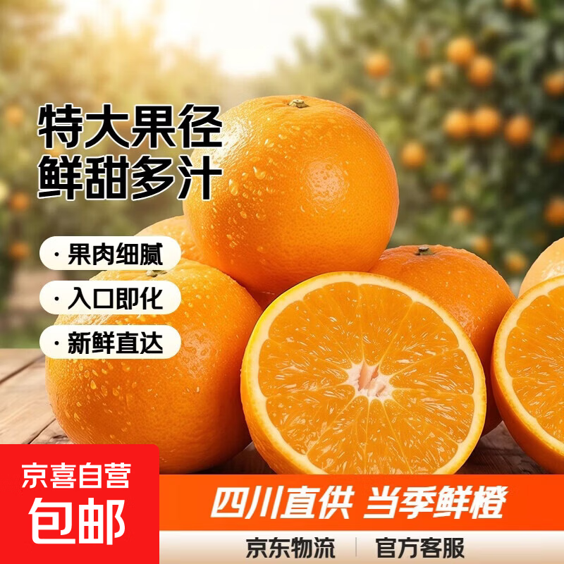 正宗四川爱媛果冻橙38号橙子10斤新鲜当季水果柑橘蜜桔子整箱大果 果径75-80mm【特大果】新鲜超甜 9斤