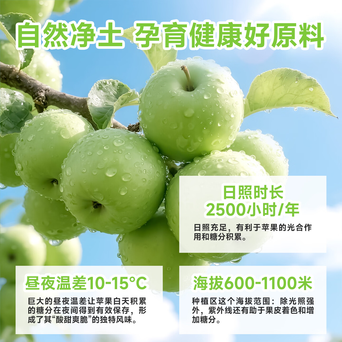 冠牧优醇100%青苹果汁饮料 无添加0脂肪 健康果蔬汁早餐酸甜解渴饮品 整箱 青苹果汁200ml*12盒【一箱】