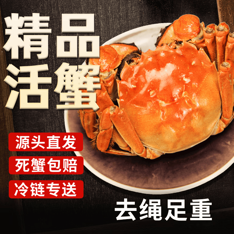 【活蟹】湖中秋色六月黄大闸蟹2.0-2.3两10只 螃蟹鲜活现货海鲜生鲜礼盒 源头直发