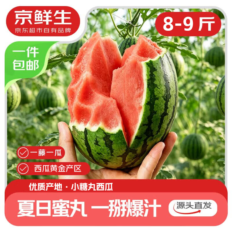 京鲜生小糖丸西瓜2-4粒装 17.47元 - 线报酷 京鲜生小糖丸西瓜2-4粒装 17.47元 - 线报酷