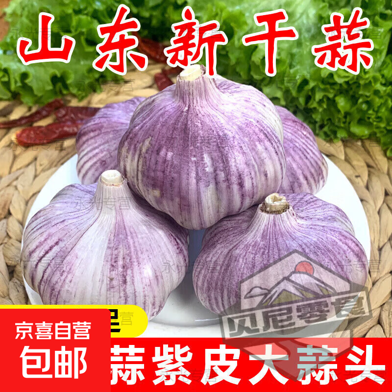 2026年山东金乡原产地直发大蒜当季大蒜头干货炒菜调味辛辣味浓郁 【精品大蒜4.5公分】6头