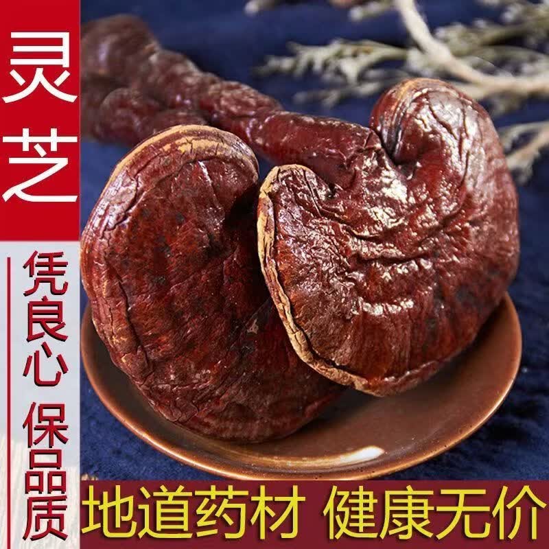 协穆胖东来同款端午节礼品长白山野生整朵灵芝中药材送长辈滋补泡酒料 整颗赤灵芝500g