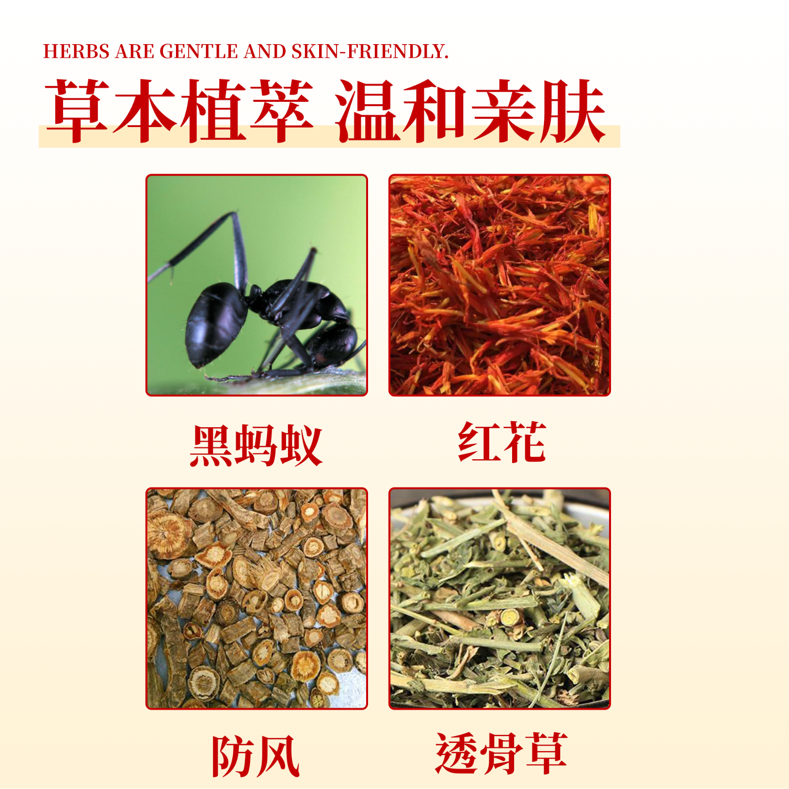 同仁堂【官方正品】黑蚂蚁透骨贴缓解颈肩腰腿滑膜风湿疼痛老黑膏保健贴 1盒【10贴/盒】见效装