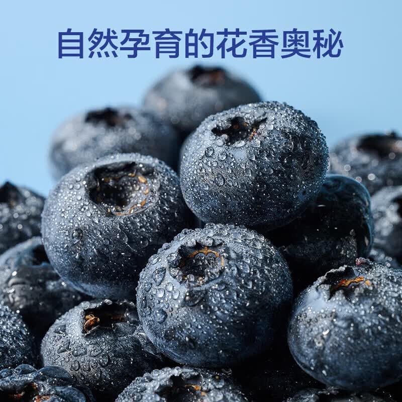 正宗云南高原新鲜采摘蓝莓新鲜水果孕妇宝宝辅食花香蓝莓 蓝莓小果单果18mm+ 高原蓝莓热卖90-115g*8盒装
