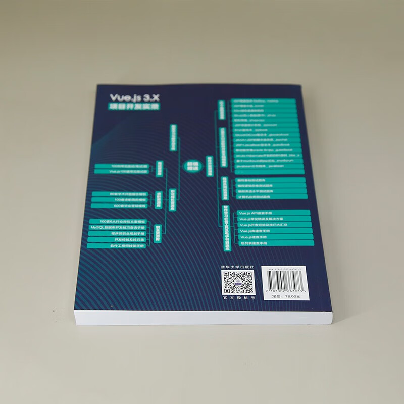 Vue.js3.X项目开发实录详情图