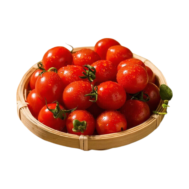 ����ʥŮ��С���� 5�� ����8.99Ԫ/5��