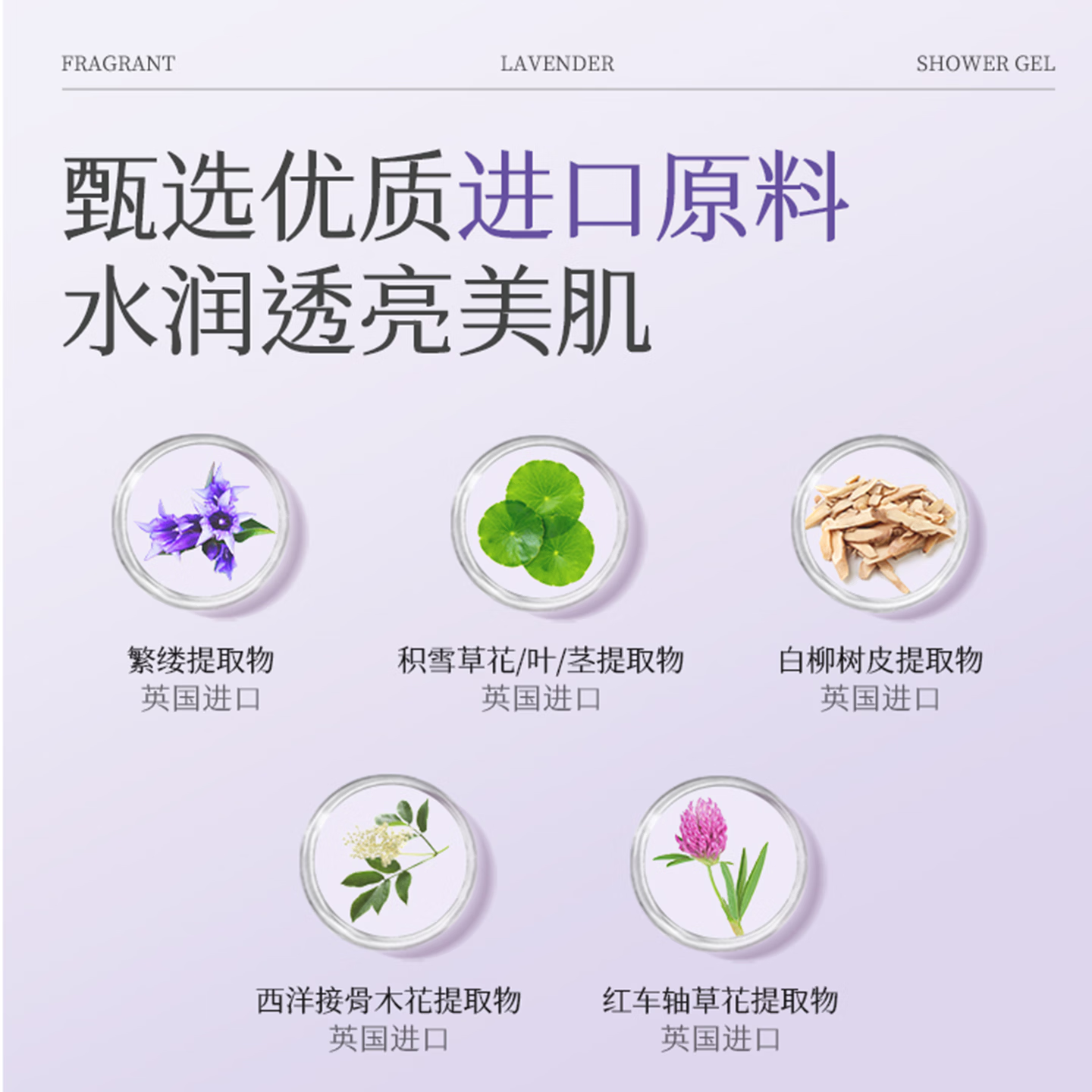 芮度精油香氛美肌沐浴露1L大容量薰衣草玫瑰沐浴乳男女士持久留香正品 芮度薰衣草玫瑰精油香氛美肌沐浴露 【100%正品】玫瑰香500ml+薰衣草500ml