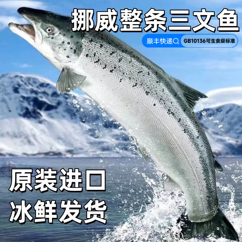 进口冰鲜三文鱼整条桑福德帝王鲑 法罗皇冠 挪威三文鱼整条可分切 挪威三文鱼 整条 16斤 【可备注分割】