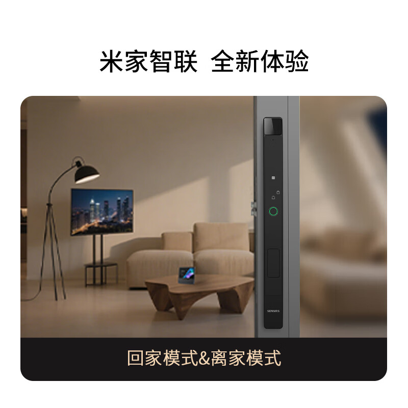 锁先森D30全自动断桥铝人脸识别庭院门智能锁涂鸦APP包安装3年质保 曜石黑 涂鸦APP