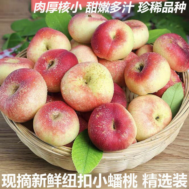 助农现货现发纽扣红蟠桃新鲜水果沈阳发货 带箱约3斤,净果2.6斤普通装)