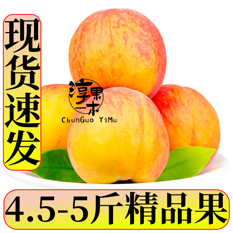 淳果一木 新鲜黄桃 桃子 彩虹黄桃黄肉桃子毛桃子 应季新鲜水果生鲜水果 5斤(净重4.5-5斤) 京东折扣/优惠券