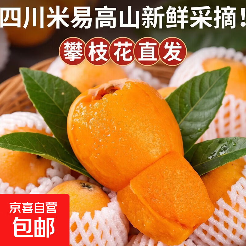 四川米易高山早钟枇杷一级果现摘攀枝花新鲜水果孕妇当季整箱批发 带箱1斤大果单果40-50克