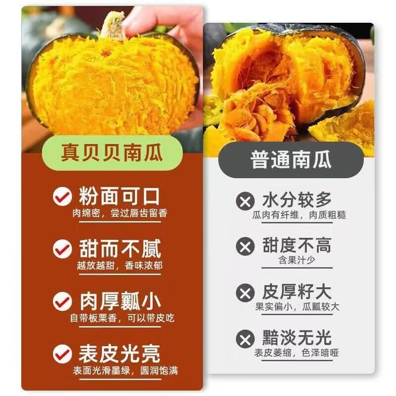 林大馋正宗贝贝南瓜板栗味新鲜日期宝宝辅食粉糯香甜小南瓜新鲜蔬菜代餐 【真贝贝 蒸不水】净 4.5斤 【 精品单果250g+ 饱满不瘪】
