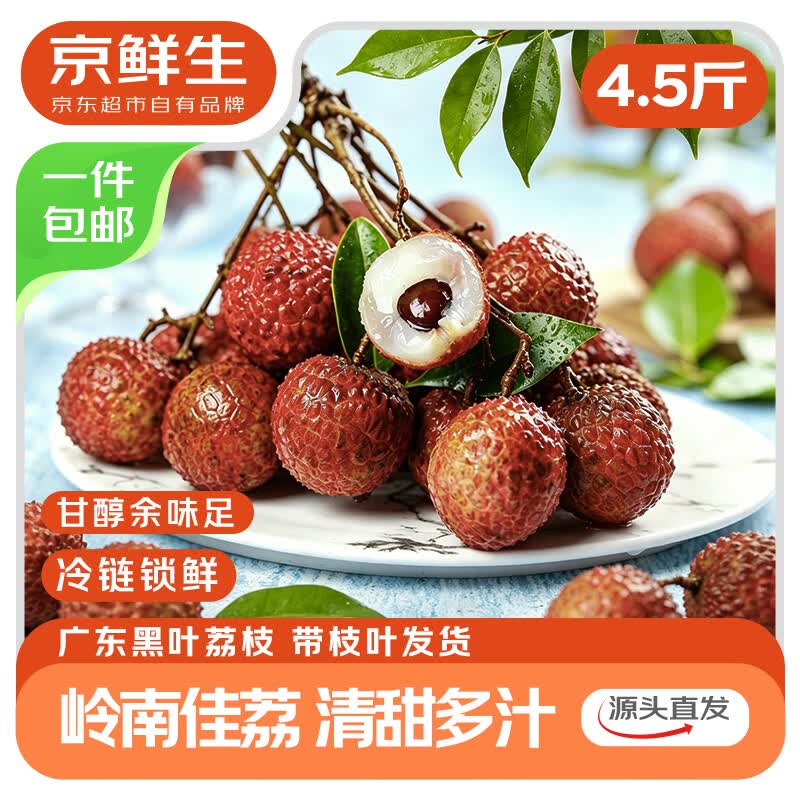 京鲜生 广东黑叶荔枝 净重4.5-5斤 带枝叶 新鲜水果 源头直发包邮