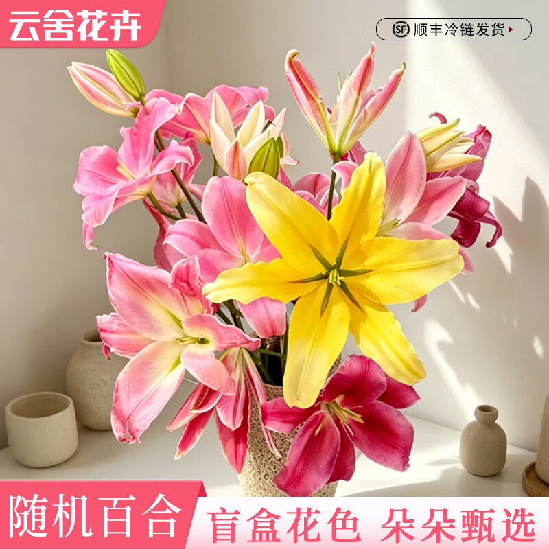 云舍花卉云南昆明直发浓香型单瓣罗蒂黄天霸百合鲜切花室内水培装饰包邮 【随机】单瓣百合10-12个花苞 普通款【生花苞发货一单普通快递两单顺丰或京东空运】
