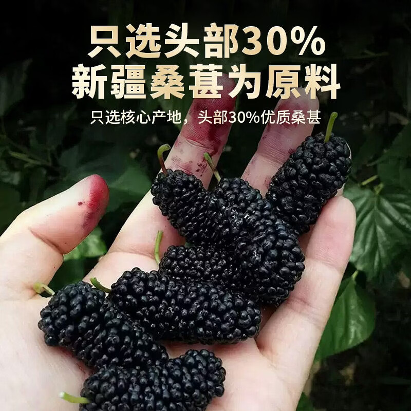 同仁堂(TRT)大颗粒正宗新疆野生特级桑葚干黑桑葚黑桑椹干免洗无沙果泡水即食 老树大果桑葚干250g*4罐