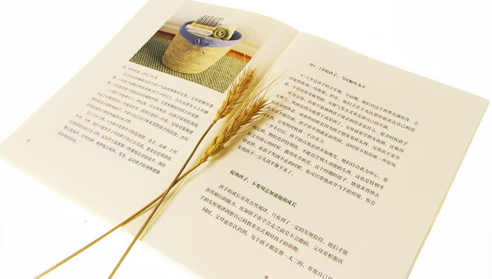 我的1-2岁孩子：抓住学习语言的敏感期（一丹奖获得者朱永新教授主编）详情图